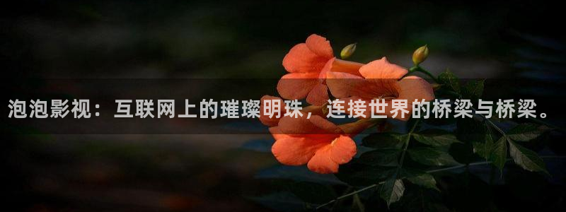 神马影院伦理秋霞：泡泡影视：互联网上的璀璨明珠，连接世界的桥梁与桥梁。