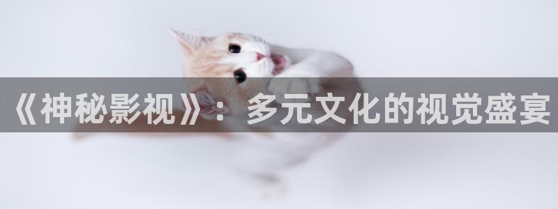 秋霞电影院午夜伦高清a：《神秘影视》：多元文化的视觉盛宴