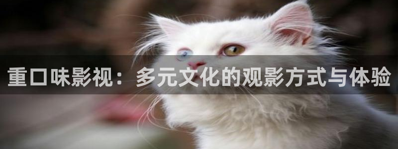 韩国秋霞理论电影